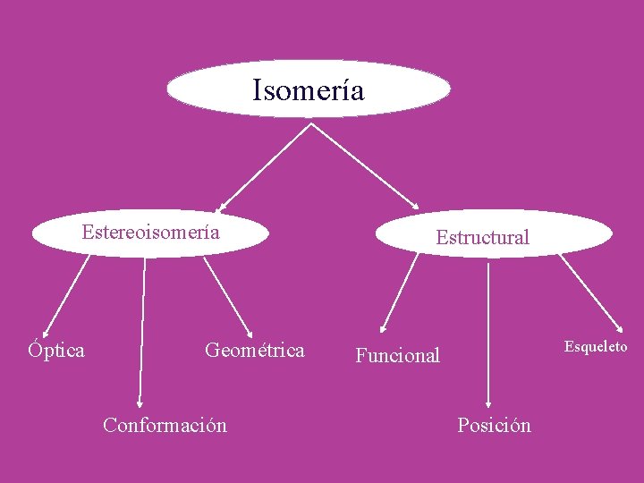 Isomería Estereoisomería Óptica Geométrica Conformación Estructural Esqueleto Funcional Posición 