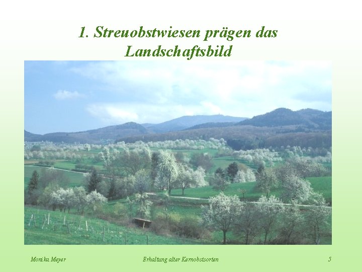 1. Streuobstwiesen prägen das Landschaftsbild Monika Meyer Erhaltung alter Kernobstsorten 5 