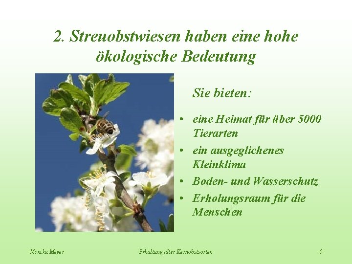 2. Streuobstwiesen haben eine hohe ökologische Bedeutung Sie bieten: • eine Heimat für über