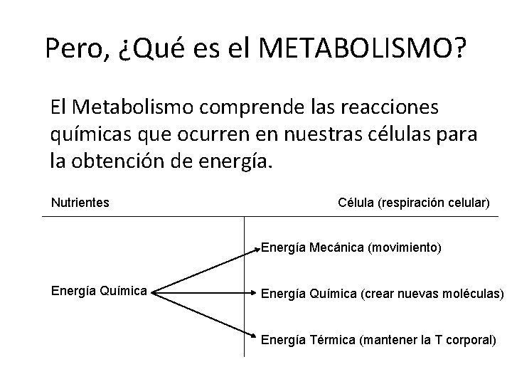 Pero, ¿Qué es el METABOLISMO? El Metabolismo comprende las reacciones químicas que ocurren en