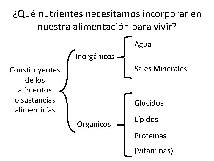 ¿Qué nutrientes necesitamos incorporar en nuestra alimentación para vivir? Agua Inorgánicos Sales Minerales Constituyentes