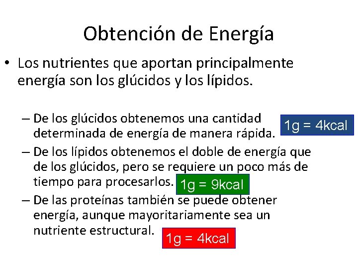 Obtención de Energía • Los nutrientes que aportan principalmente energía son los glúcidos y