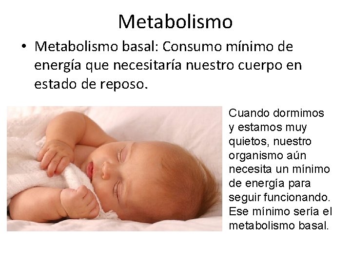 Metabolismo • Metabolismo basal: Consumo mínimo de energía que necesitaría nuestro cuerpo en estado
