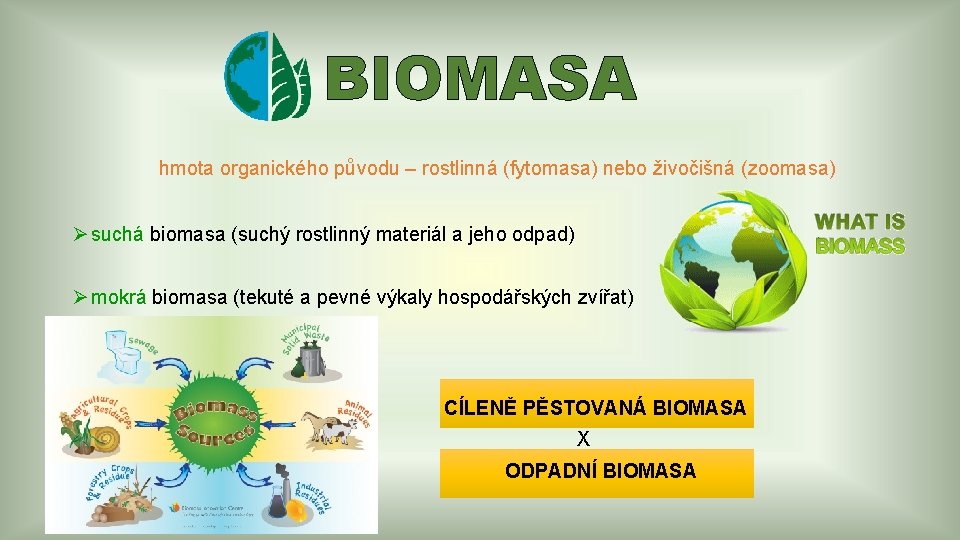 BIOMASA hmota organického původu – rostlinná (fytomasa) nebo živočišná (zoomasa) Ø suchá biomasa (suchý