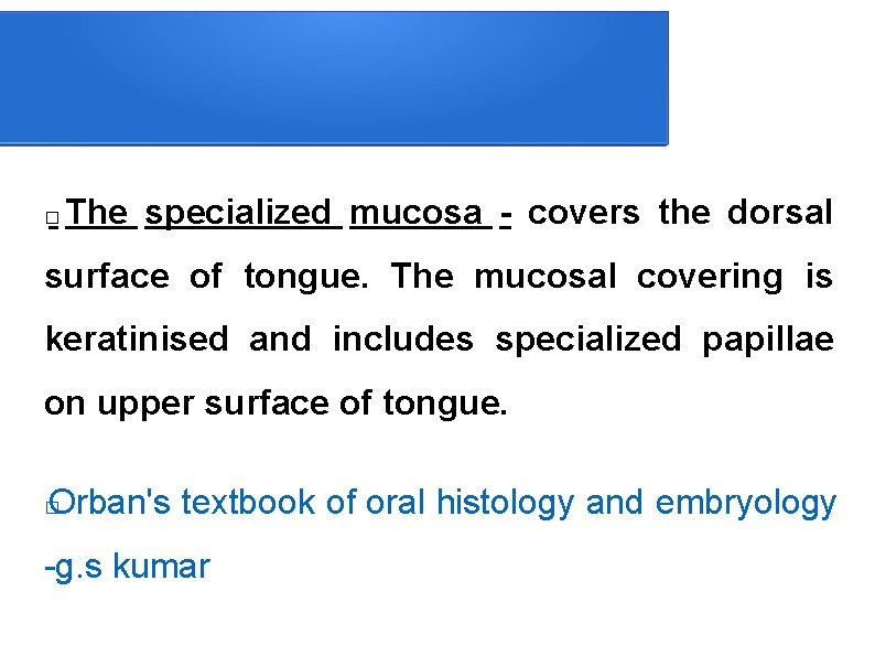  The specialized mucosa - covers the dorsal � surface of tongue. The mucosal