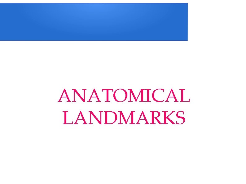 ANATOMICAL LANDMARKS 