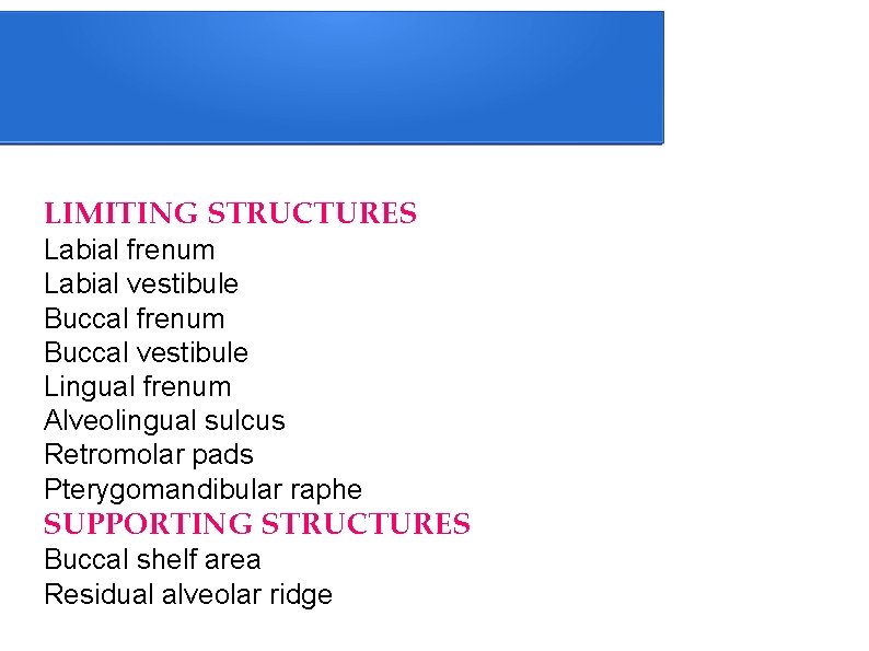 LIMITING STRUCTURES Labial frenum Labial vestibule Buccal frenum Buccal vestibule Lingual frenum Alveolingual sulcus