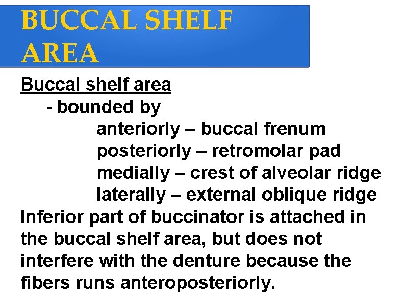 BUCCAL SHELF AREA Buccal shelf area - bounded by anteriorly – buccal frenum posteriorly