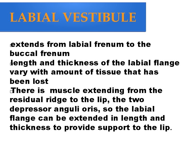 LABIAL VESTIBULE extends from labial frenum to the buccal frenum � length and thickness