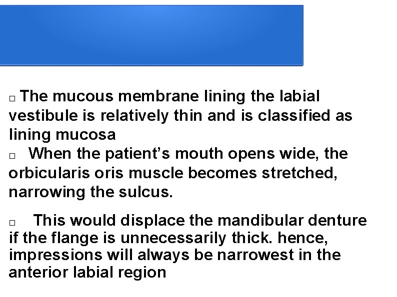  The mucous membrane lining the labial vestibule is relatively thin and is classified