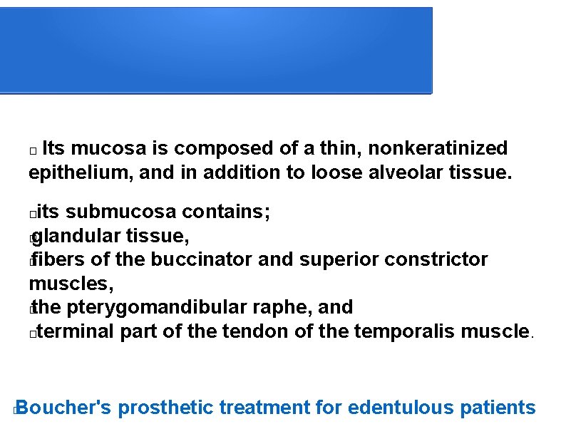  Its mucosa is composed of a thin, nonkeratinized epithelium, and in addition to