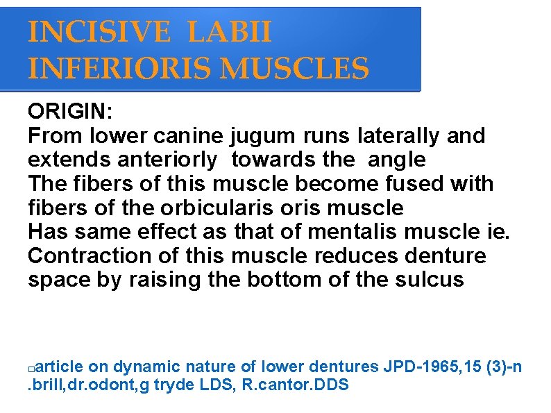 INCISIVE LABII INFERIORIS MUSCLES ORIGIN: From lower canine jugum runs laterally and extends anteriorly