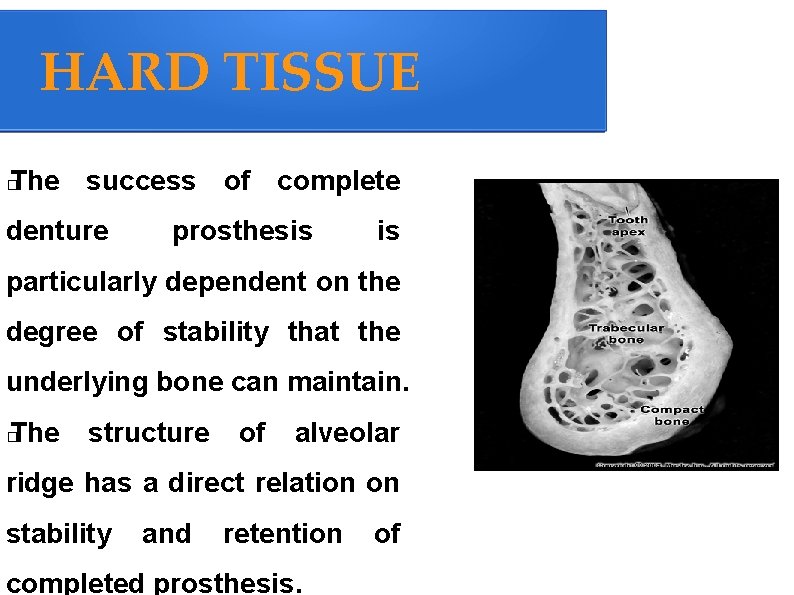 HARD TISSUE The success of complete � denture prosthesis particularly dependent on the degree