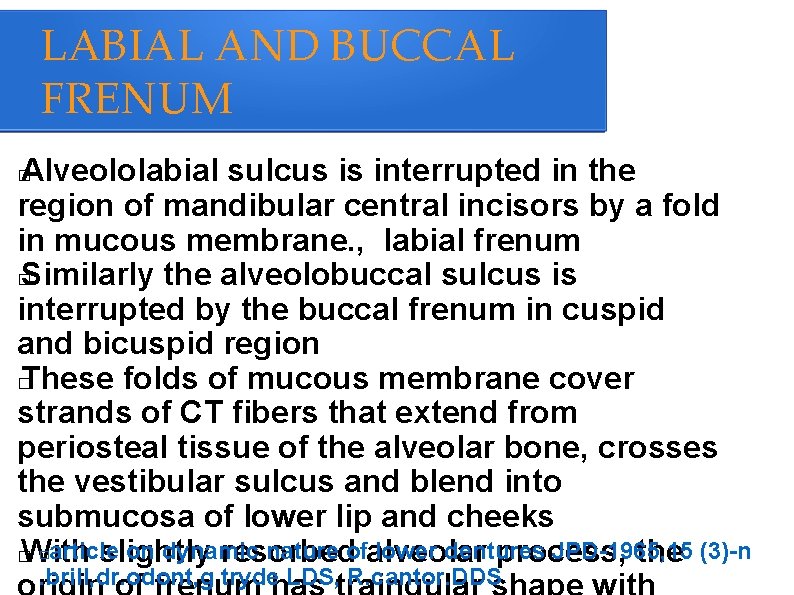 LABIAL AND BUCCAL FRENUM Alveololabial sulcus is interrupted in the region of mandibular central