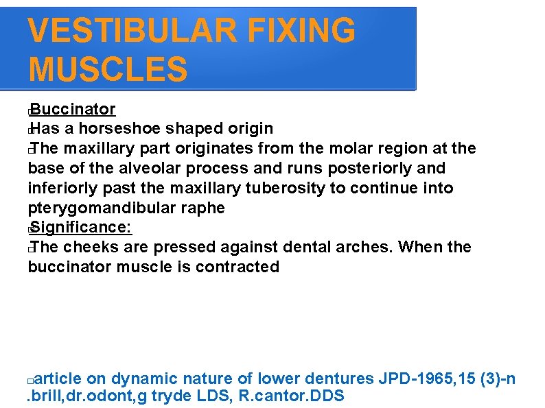 VESTIBULAR FIXING MUSCLES Buccinator � Has a horseshoe shaped origin � The maxillary part