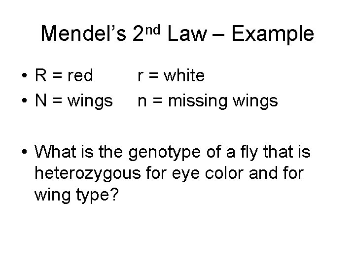Mendel’s 2 nd Law – Example • R = red • N = wings