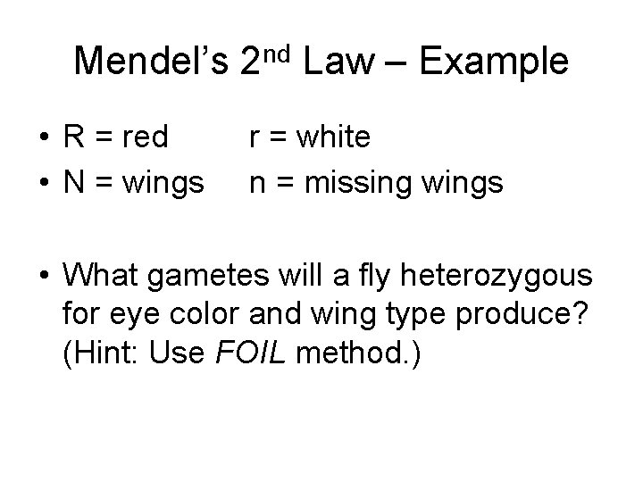 Mendel’s 2 nd Law – Example • R = red • N = wings