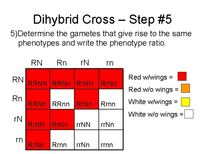 Dihybrid Cross – Step #5 5)Determine the gametes that give rise to the same