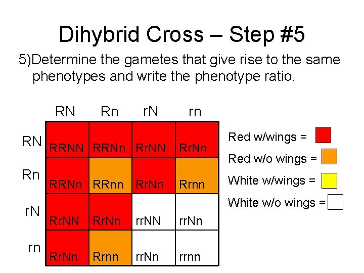 Dihybrid Cross – Step #5 5)Determine the gametes that give rise to the same