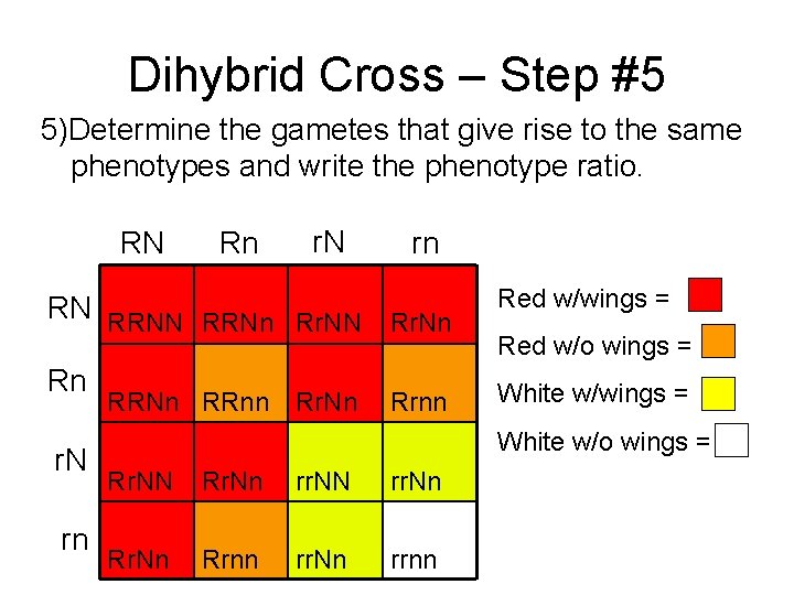 Dihybrid Cross – Step #5 5)Determine the gametes that give rise to the same