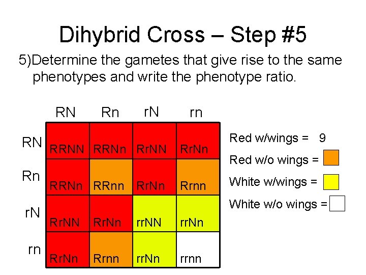 Dihybrid Cross – Step #5 5)Determine the gametes that give rise to the same