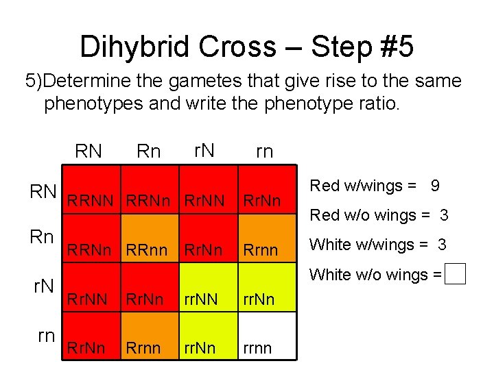 Dihybrid Cross – Step #5 5)Determine the gametes that give rise to the same