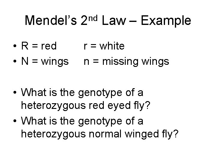 Mendel’s 2 nd Law – Example • R = red • N = wings