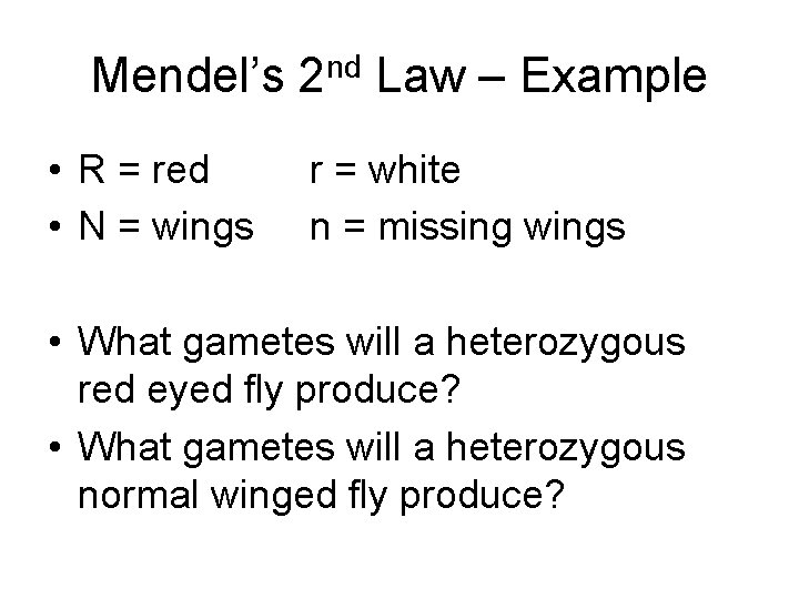 Mendel’s 2 nd Law – Example • R = red • N = wings