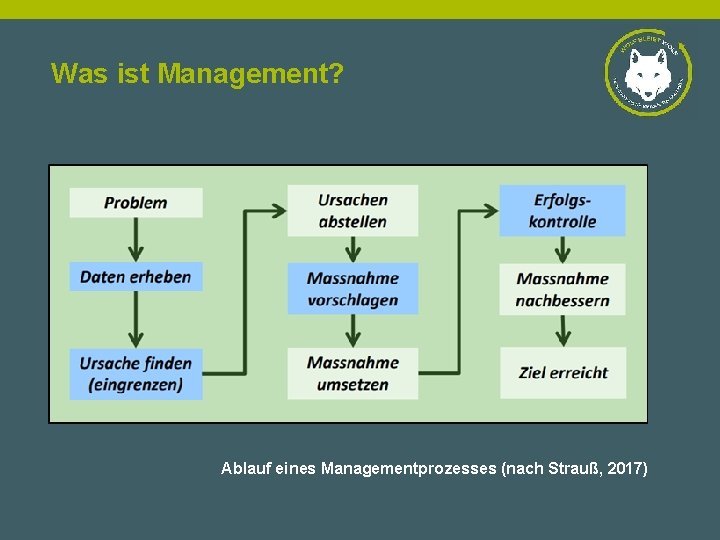 Was ist Management? Ablauf eines Managementprozesses (nach Strauß, 2017) 