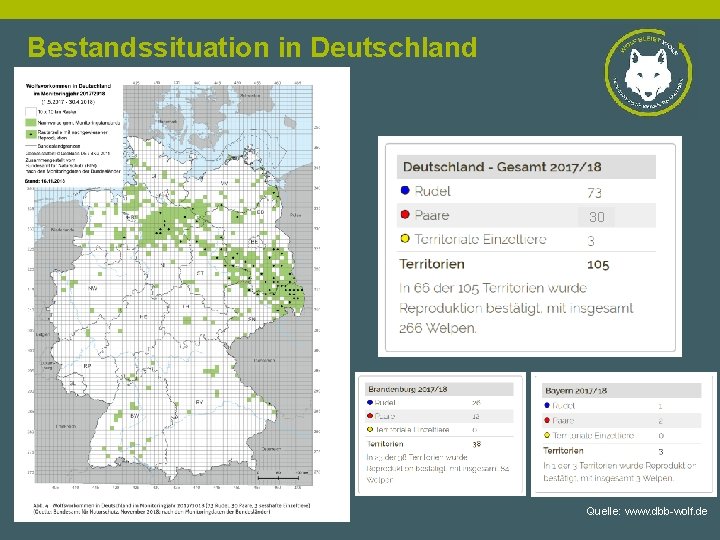 Bestandssituation in Deutschland 30 Quelle: www. dbb-wolf. de 