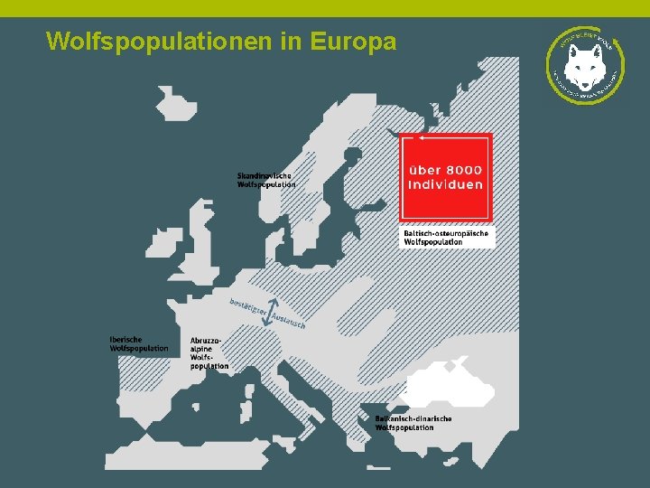 Wolfspopulationen in Europa 