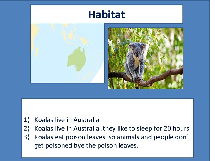 Habitat Map showing where your animal lives 1) Koalas live in Australia 2) Koalas