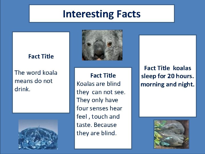 Interesting Facts Fact Title The word koala means do not drink. A pic to
