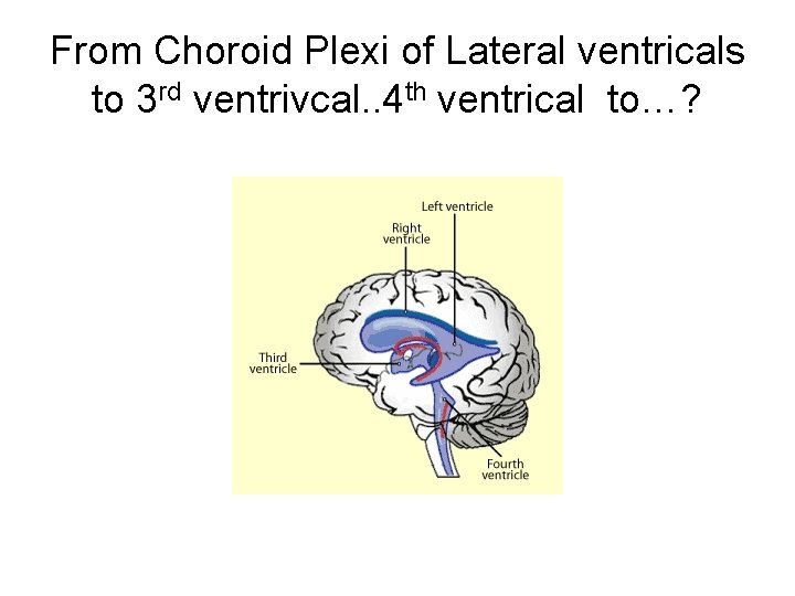 From Choroid Plexi of Lateral ventricals to 3 rd ventrivcal. . 4 th ventrical