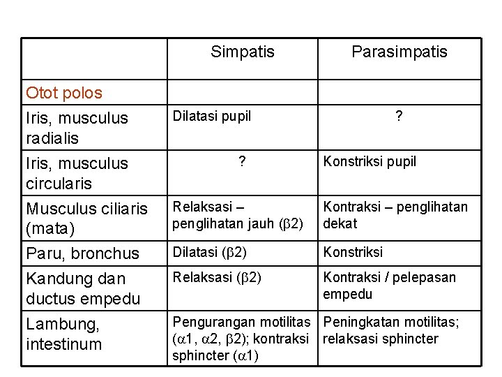 Simpatis Otot polos Iris, musculus radialis Iris, musculus circularis Musculus ciliaris (mata) Paru, bronchus