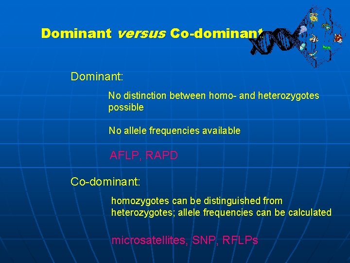 Dominant versus Co-dominant Dominant: No distinction between homo- and heterozygotes possible No allele frequencies