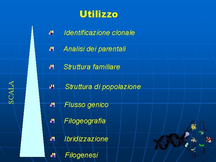 Utilizzo Identificazione clonale Analisi dei parentali SCALA Struttura familiare Struttura di popolazione Flusso genico