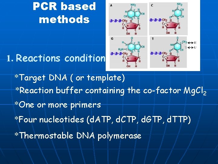  PCR based methods 1. Reactions conditions *Target DNA ( or template) *Reaction buffer