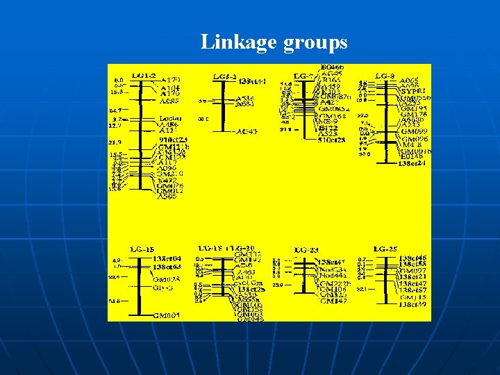 Linkage groups 