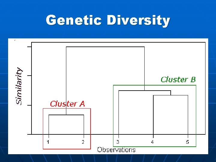Genetic Diversity 