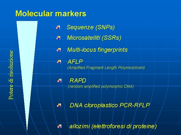 Molecular markers Sequenze (SNPs) Potere di risoluzione Microsatelliti (SSRs) Multi-locus fingerprints AFLP (Amplified Fragment