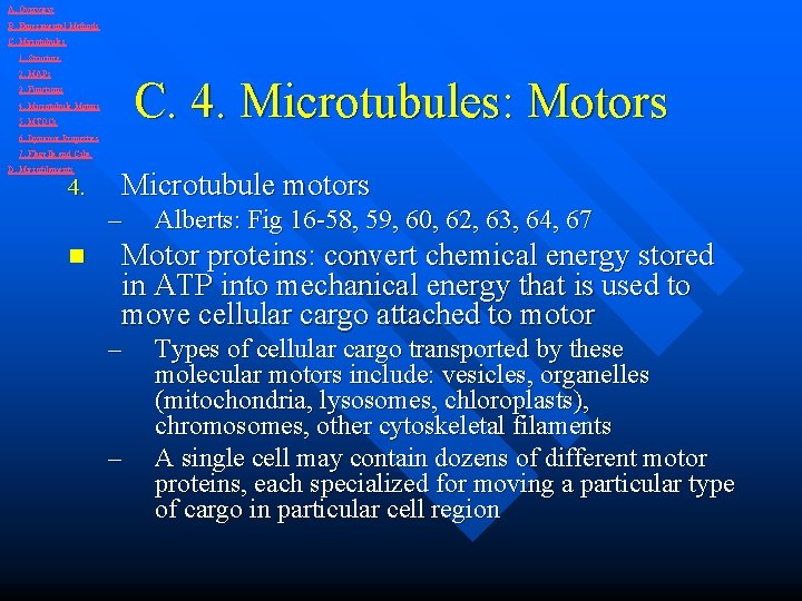 A. Overview B. Experimental Methods C. Microtubules 1. Structure 2. MAPs C. 4. Microtubules: