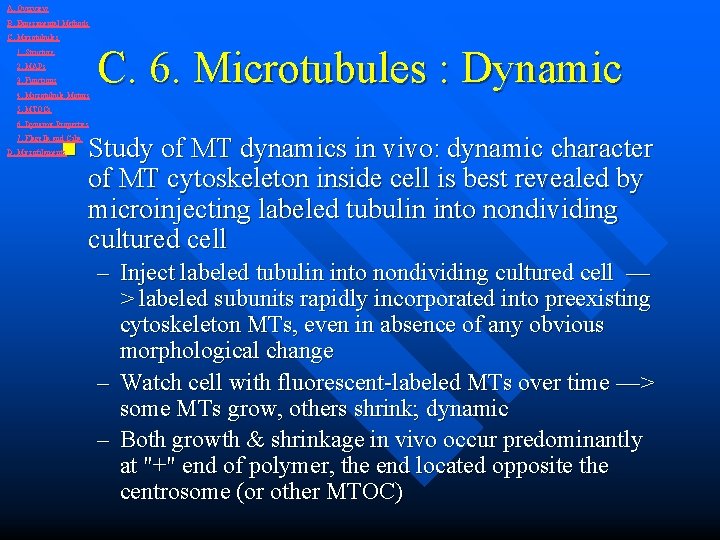 A. Overview B. Experimental Methods C. Microtubules 1. Structure 2. MAPs 3. Functions 4.