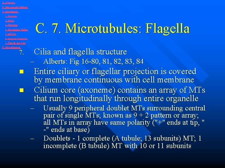 A. Overview B. Experimental Methods C. Microtubules 1. Structure 2. MAPs C. 7. Microtubules: