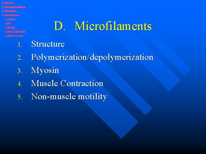 A. Overview B. Experimental Methods C. Microtubules D. Microfilaments 1. Structure 2. P/D 3.