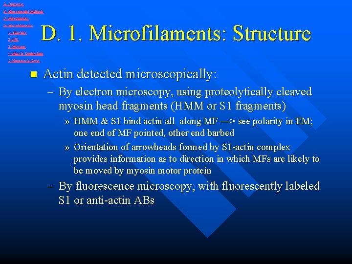 A. Overview B. Experimental Methods C. Microtubules D. Microfilaments 1. Structure 2. P/D 3.