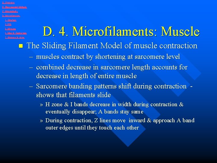 A. Overview B. Experimental Methods C. Microtubules D. Microfilaments 1. Structure 2. P/D 3.