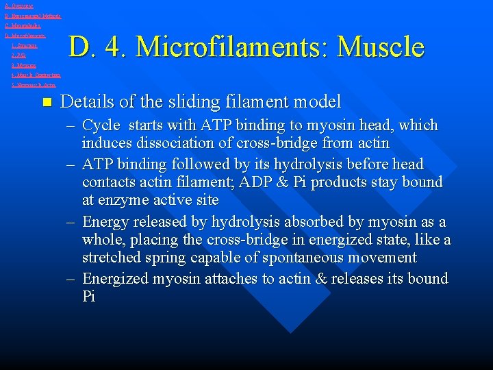 A. Overview B. Experimental Methods C. Microtubules D. 4. Microfilaments: Muscle D. Microfilaments 1.