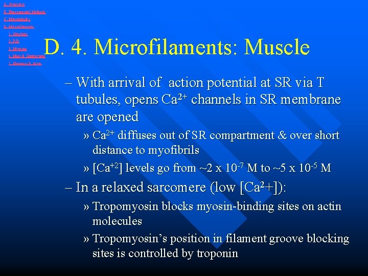 A. Overview B. Experimental Methods C. Microtubules D. Microfilaments 1. Structure 2. P/D 3.