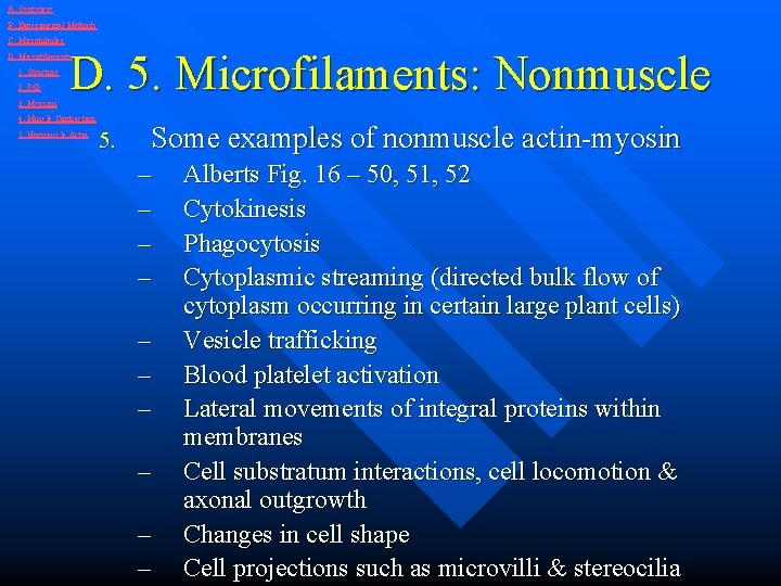A. Overview B. Experimental Methods C. Microtubules D. 5. Microfilaments: Nonmuscle D. Microfilaments 1.